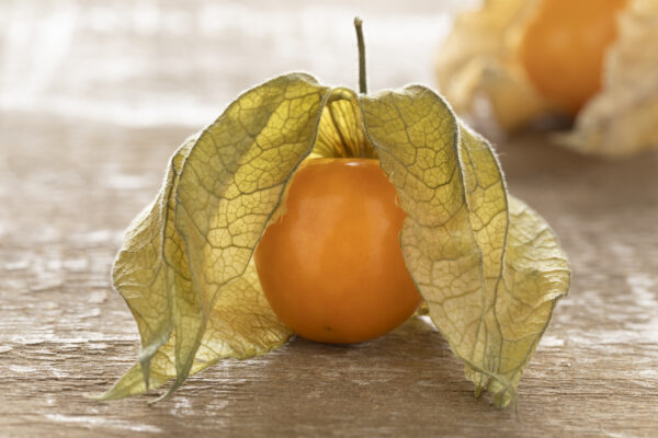 Cape Gooseberry (Physalis Peruviana)