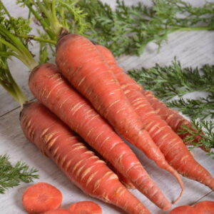 carrots with long, tapered roots in a scarlet- red colour with sliced carrots