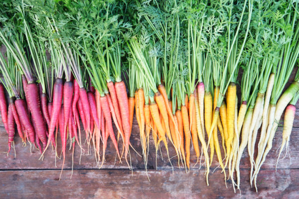 Carrot Rainbow Mix - Image 2