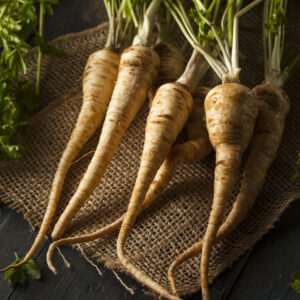 Herb Parsley - Hamburg Root