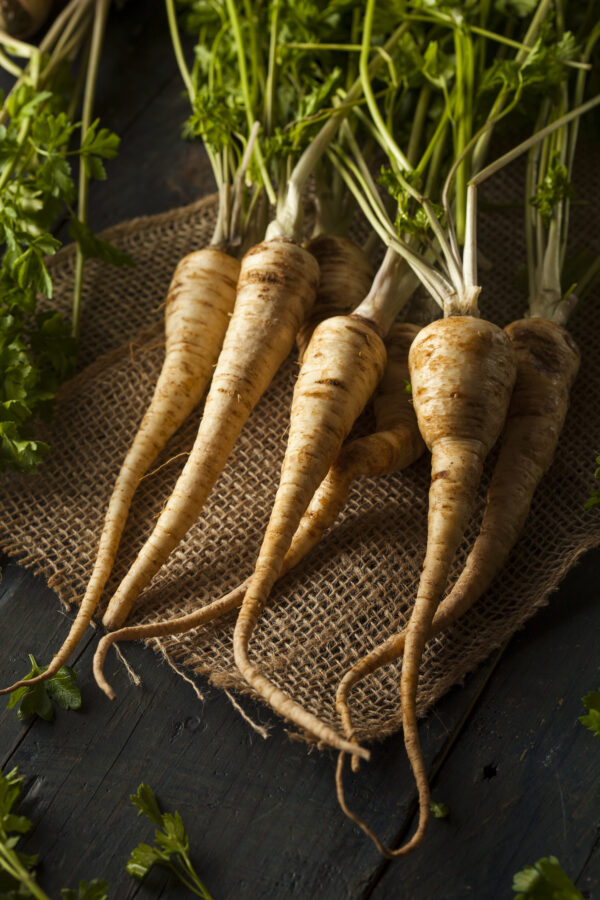 Herb Parsley - Hamburg Root