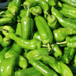 Sweet Pepper - CUBANELLE
