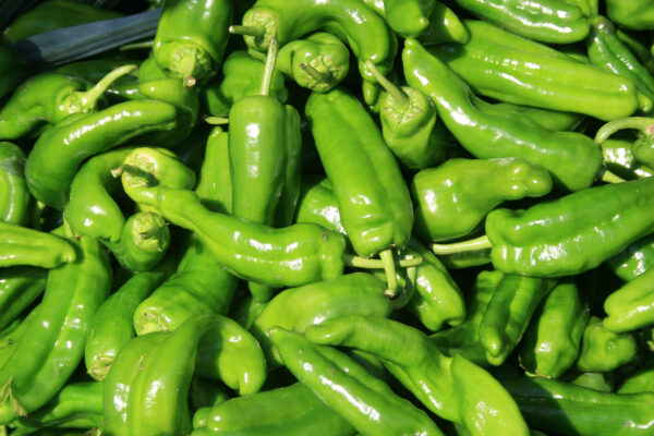 Sweet Pepper - CUBANELLE