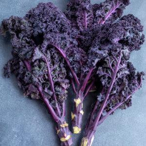 KALE - BORECOLE - SCARLET