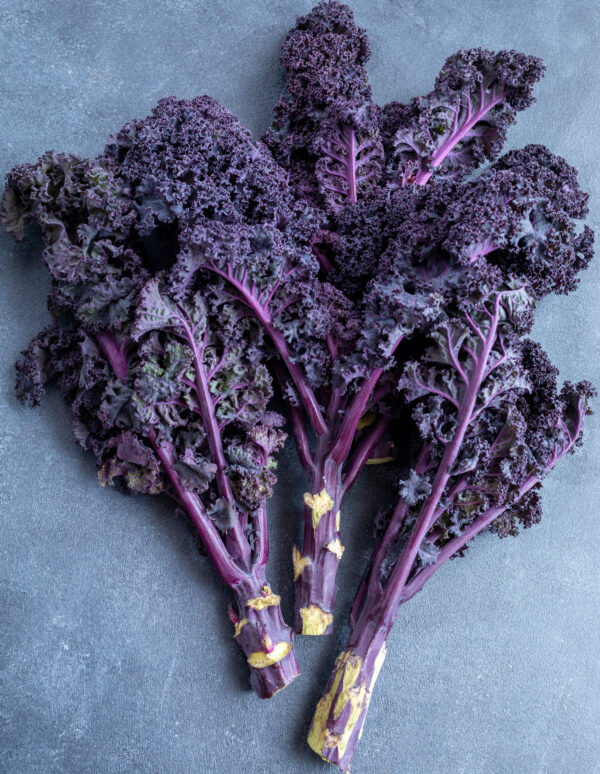 KALE - BORECOLE - SCARLET