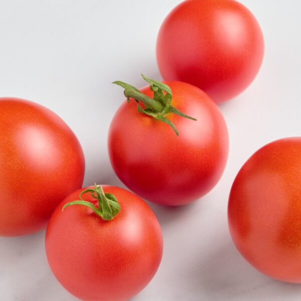 Tomato Outdoor Girl Early new