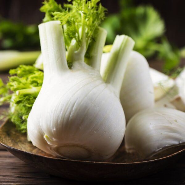 Fennel Florence - Image 2