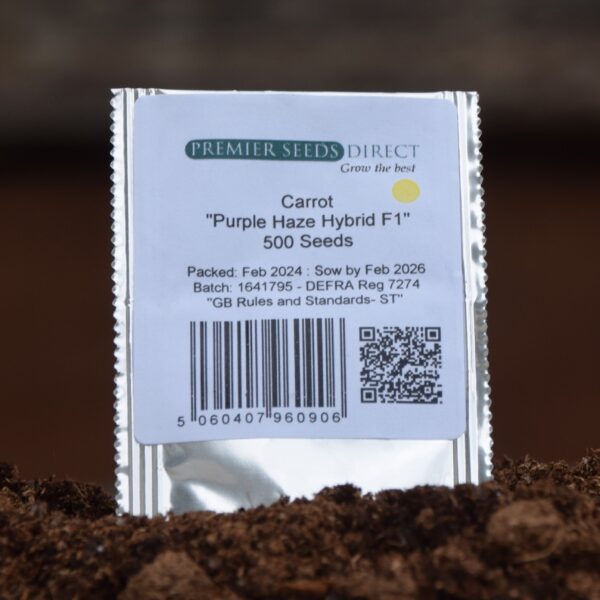 Carrot Purple Haze Hybrid F1 - Image 3