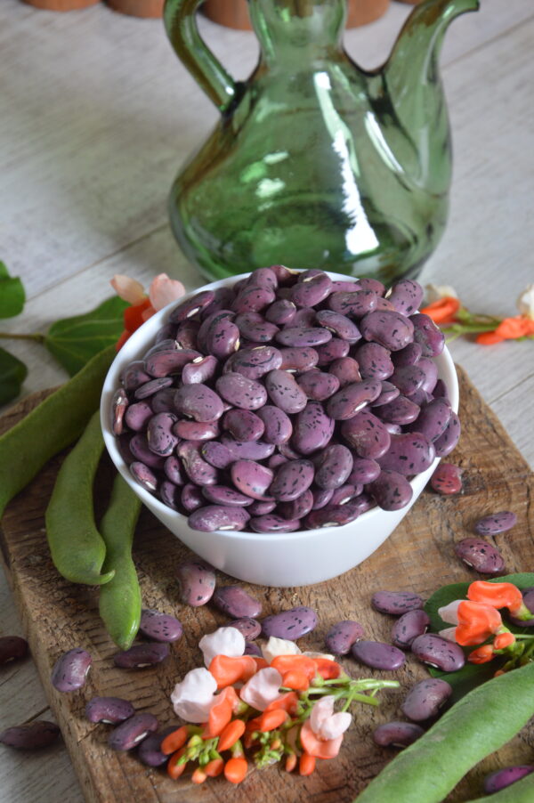 Dwarf Runner Bean Hestia - Image 2