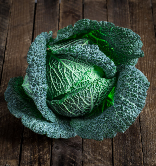 Cabbage Cordesa F1