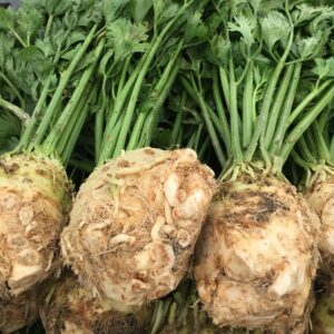 Celeriac Giant Prague