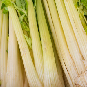 Celery Golden Self Blanching