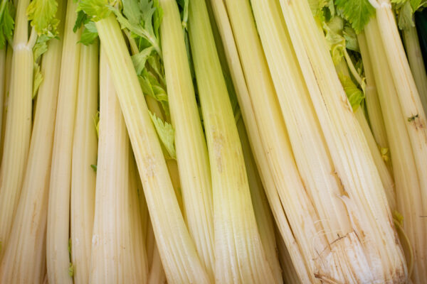 Celery Golden Self Blanching