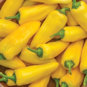 Sweet Pepper – Lemon Dream