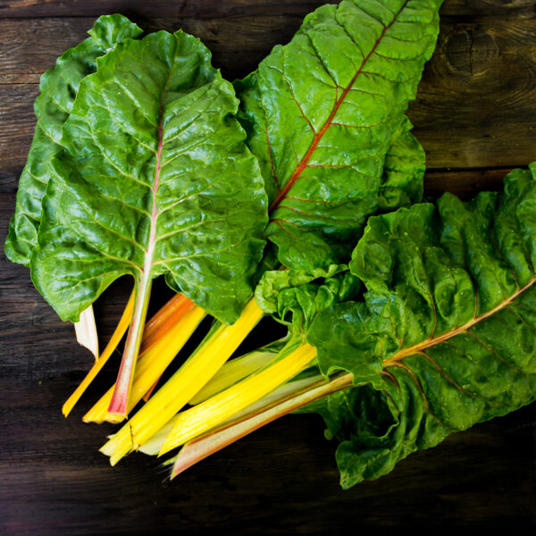 Swiss Chard - Canary Yellow