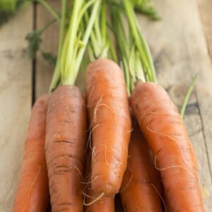 a handful of uniform, deep orange carrots on a wooden table