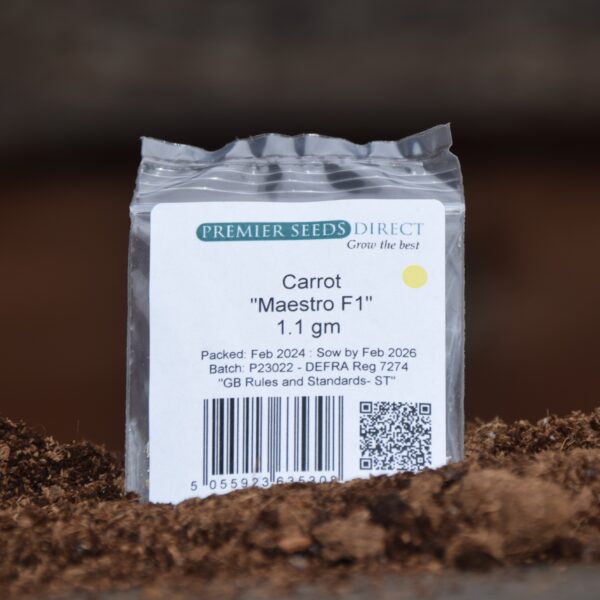 Carrot Maestro F1 (Carrot Fly Resistant) - Image 3