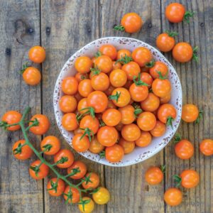 Tomato - Honeycomb F1