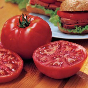 Tomato - Steak Sandwich
