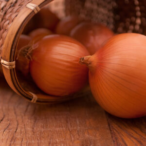 Onion - Ailsa Craig
