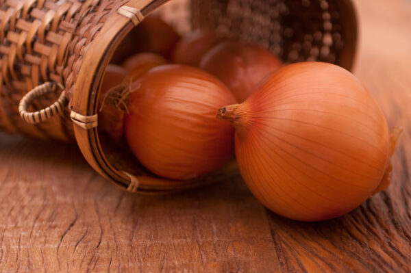 Onion - Ailsa Craig