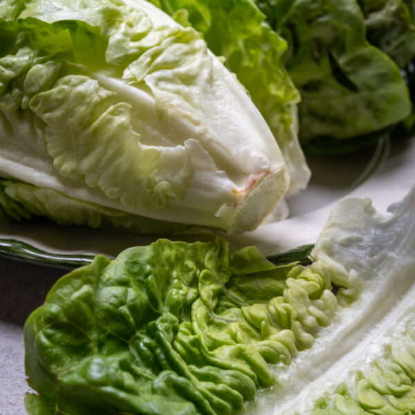 Lettuce Romaine Parris Island Cos