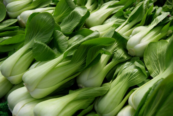 Cabbage Pak Choi White Stem
