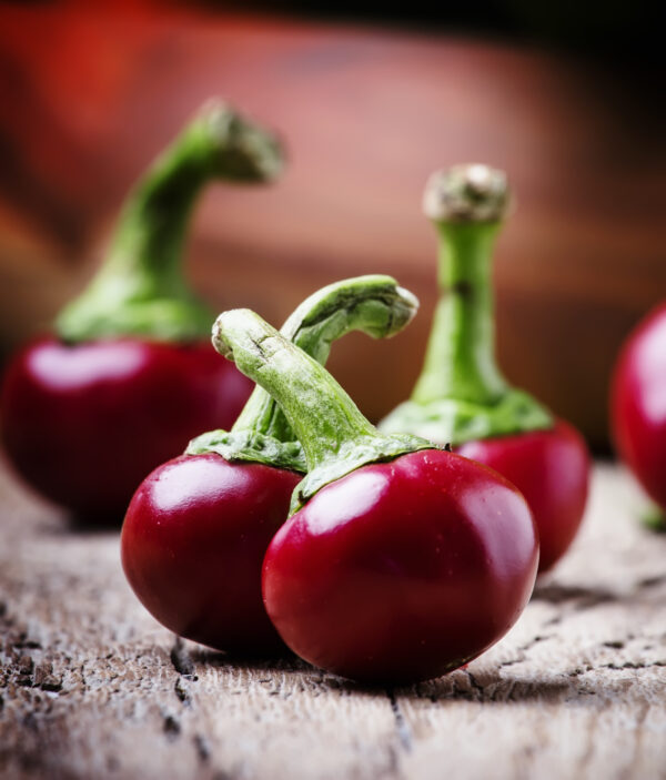 Hot Chilli Pepper - Large Red Cherry