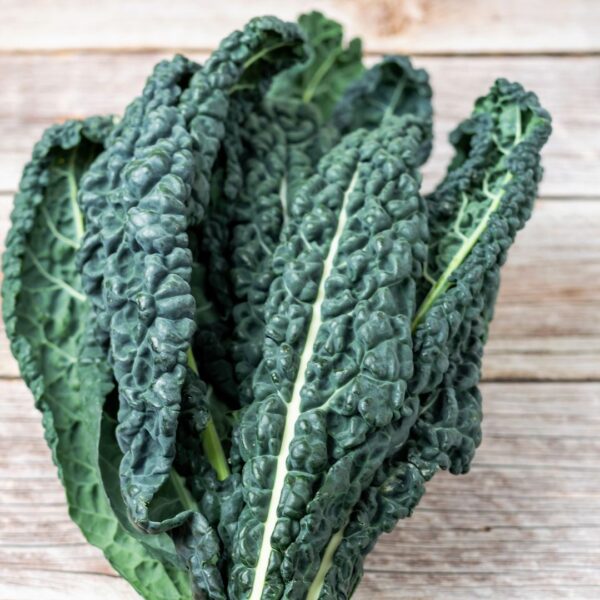 Kale Borecole Nero Di Toscana Black Tuscan