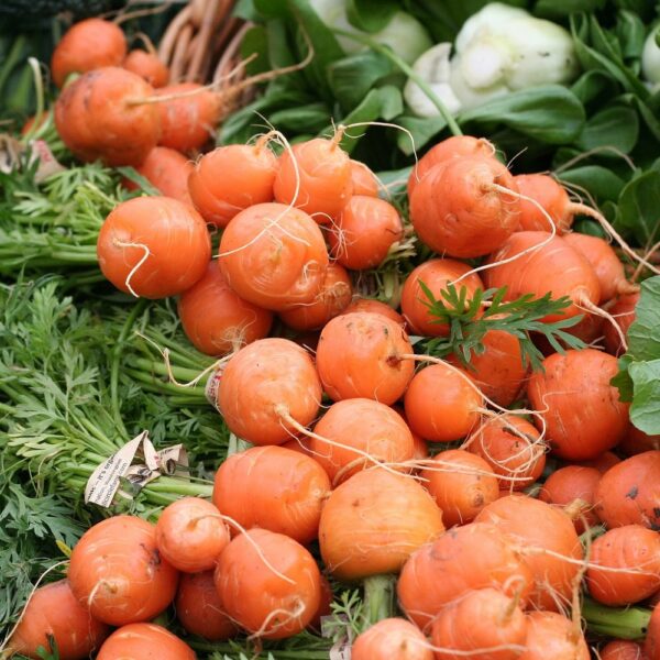 Carrot Parisian Paris Market - Image 6