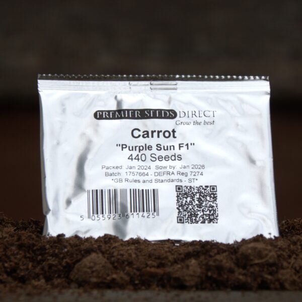 Carrot Purple Sun F1 - Image 3
