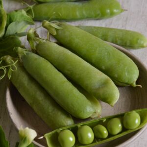 Pea Onward Early And Main Crop