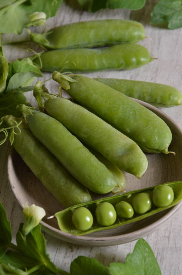 Pea Onward Early And Main Crop