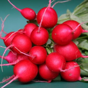 Radish - Cherry Belle