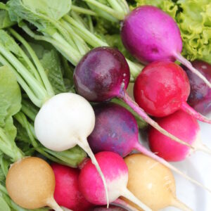 Radish - Mixed Coloured Easter Egg