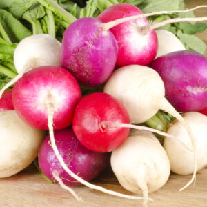 Radish Seeds
