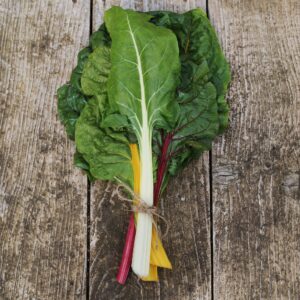 Swiss Chard - Rainbow Mix