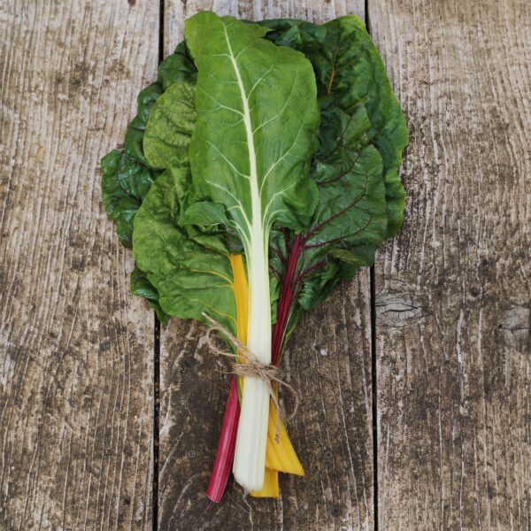 Swiss Chard - Rainbow Mix