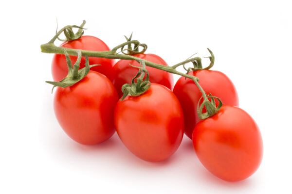 Tomato - Principe Borghese - Image 2
