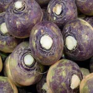 Swede - Gowrie