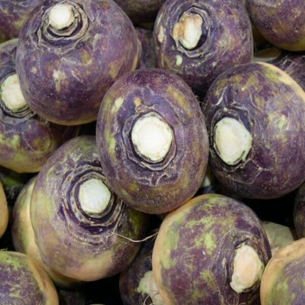 Swede - Gowrie