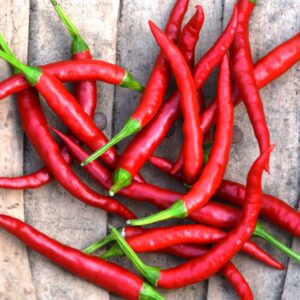 Pepper Hot - Damian