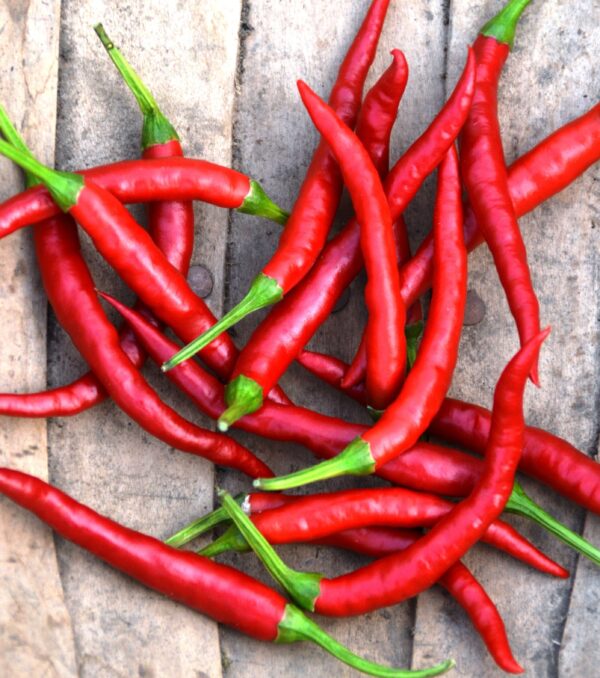 Pepper Hot - Damian