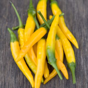 Pepper Hot - Kristian