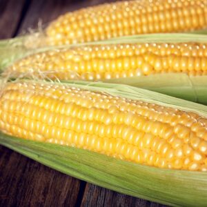 Sweetcorn – Earliking F1 (Sweet Corn)