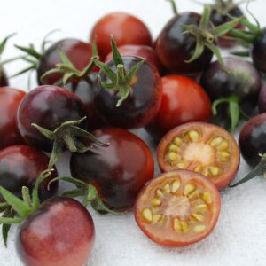 Tomato - Cherry Indigo Blue Berries