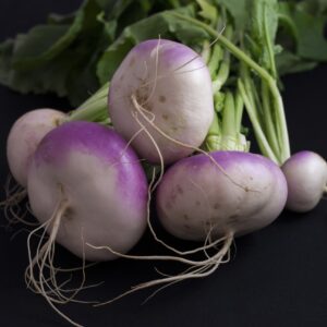 Turnip - Milan Purple