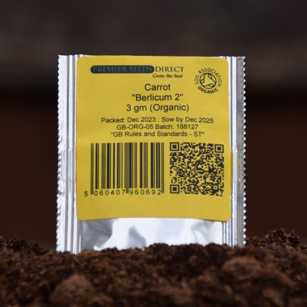 Organic Carrot Berlicum - Image 3