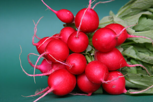Organic Radish Cherry Belle