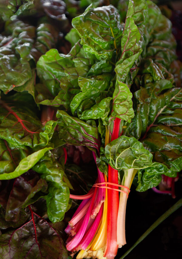 Organic Swiss Chard - Rainbow Mix